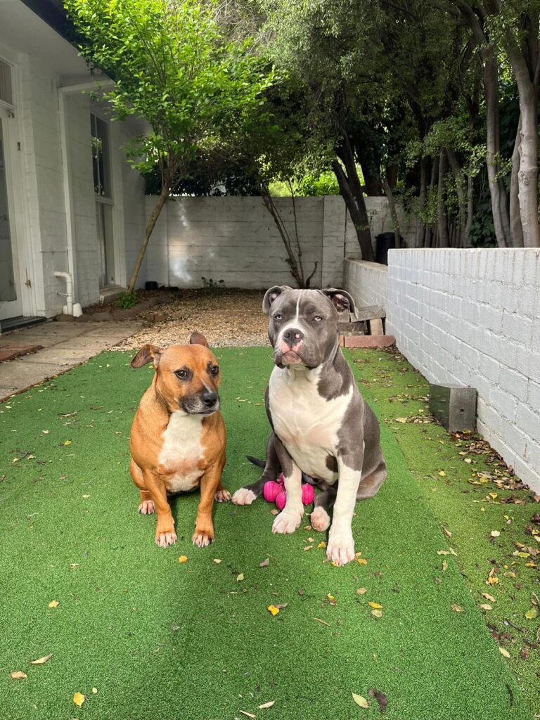 malaya care staffs (14)